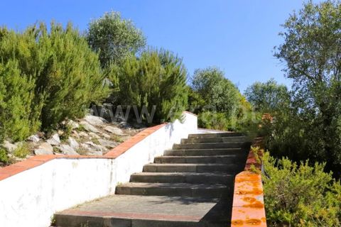 Helårsgrund i Constancia, Santarem, Constancia - € 39.000 | Ref: 122240252 - foto 9