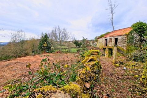 Farm i Segude, Viana do Castelo, Segude - € 120.000 | Ref: MNC1644QTA - foto 3