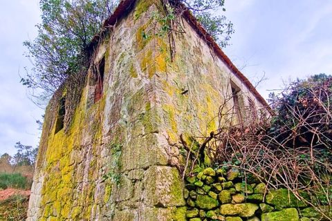 Farm i Segude, Viana do Castelo, Segude - € 120.000 | Ref: MNC1644QTA - foto 6