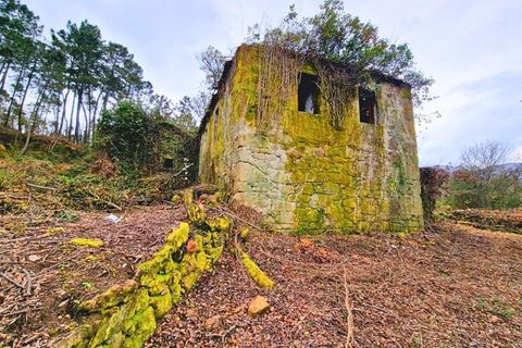 Farm i Segude, Viana do Castelo, Segude - € 120.000 | Ref: MNC1644QTA - foto 7
