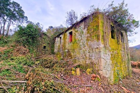 Farm i Segude, Viana do Castelo, Segude - € 120.000 | Ref: MNC1644QTA - foto 8