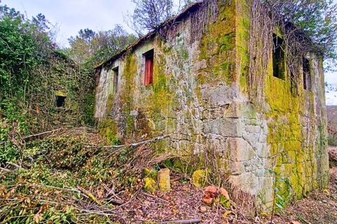 Farm i Segude, Viana do Castelo, Segude - € 120.000 | Ref: MNC1644QTA - foto 9