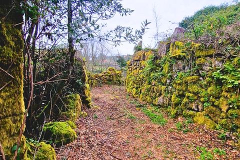 Farm i Segude, Viana do Castelo, Segude - € 120.000 | Ref: MNC1644QTA - foto 11