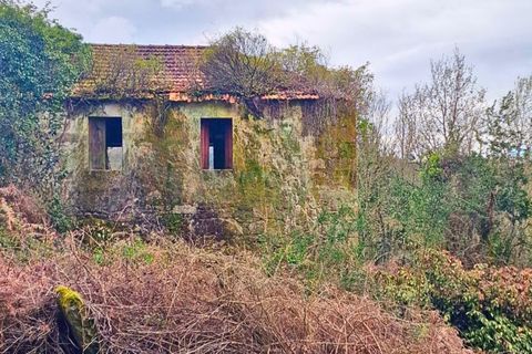Farm i Segude, Viana do Castelo, Segude - € 120.000 | Ref: MNC1644QTA - foto 12