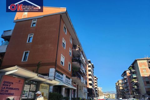 Parkeringsplads i Verona, Verona, Verona - € 22.000 | Ref: 3104 - foto 7