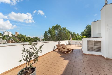 Leilighet i Cala Mayor, Mallorca, Cala Mayor - € 1 150 000 | Ref: PS04073 - foto 21