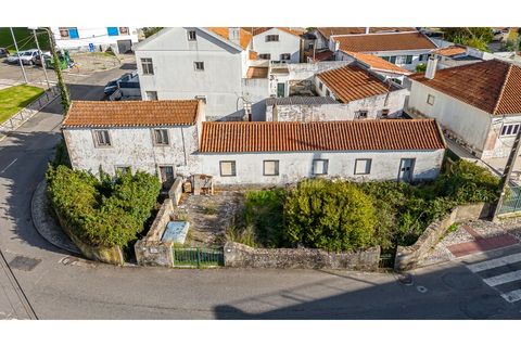 Helårsgrund i Sintra, Lisbon, Sintra - € 498.000 | Ref: PROP-33829 - foto 4