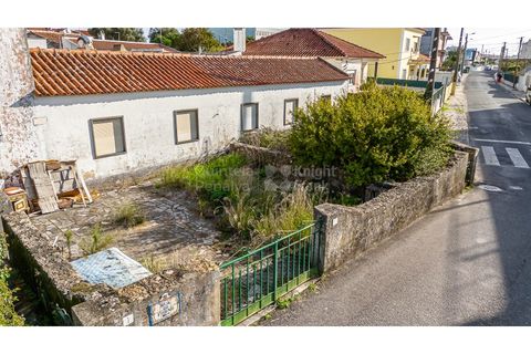 Helårsgrund i Sintra, Lisbon, Sintra - € 498.000 | Ref: PROP-33829 - foto 8