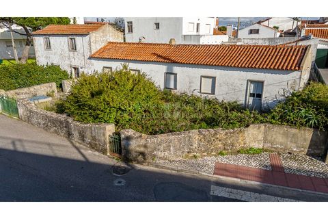 Helårsgrund i Sintra, Lisbon, Sintra - € 498.000 | Ref: PROP-33829 - foto 11