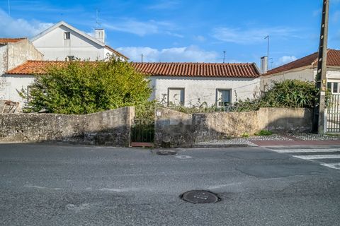 Helårsgrund i Sintra, Lisbon, Sintra - € 498.000 | Ref: PROP-33829 - foto 16
