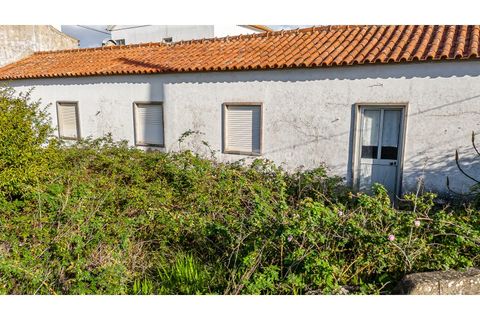 Helårsgrund i Sintra, Lisbon, Sintra - € 498.000 | Ref: PROP-33829 - foto 22