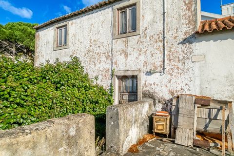 Helårsgrund i Sintra, Lisbon, Sintra - € 498.000 | Ref: PROP-33829 - foto 23