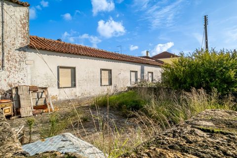 Helårsgrund i Sintra, Lisbon, Sintra - € 498.000 | Ref: PROP-33829 - foto 24