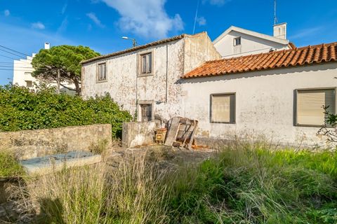 Helårsgrund i Sintra, Lisbon, Sintra - € 498.000 | Ref: PROP-33829 - foto 25