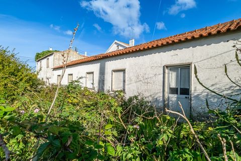 Helårsgrund i Sintra, Lisbon, Sintra - € 498.000 | Ref: PROP-33829 - foto 26