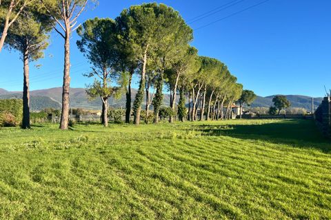 Terra a Spoleto, Perugia, Spoleto - € 90.000 | Ref: CBI057-316-30396 - foto 3