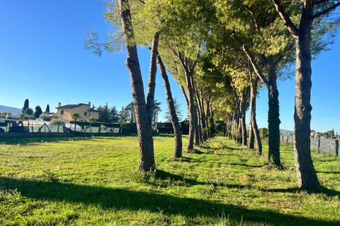 Terra a Spoleto, Perugia, Spoleto - € 90.000 | Ref: CBI057-316-30396 - foto 5
