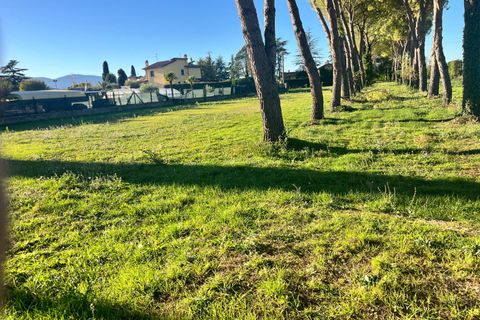 Terra a Spoleto, Perugia, Spoleto - € 90.000 | Ref: CBI057-316-30396 - foto 6