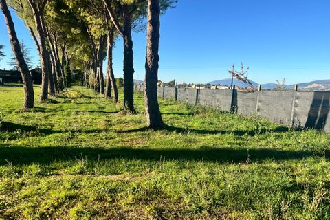 Terra a Spoleto, Perugia, Spoleto - € 90.000 | Ref: CBI057-316-30396 - foto 7