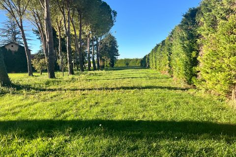 Terra a Spoleto, Perugia, Spoleto - € 90.000 | Ref: CBI057-316-30396 - foto 8