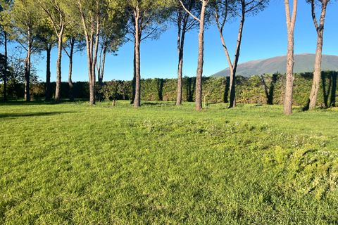 Terra a Spoleto, Perugia, Spoleto - € 90.000 | Ref: CBI057-316-30396 - foto 9