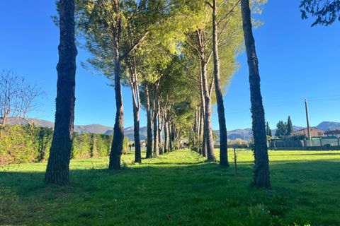 Terra a Spoleto, Perugia, Spoleto - € 90.000 | Ref: CBI057-316-30396 - foto 10