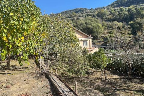 Villa a Vallecrosia, Imperia, Vallecrosia - € 390.000 | Ref: iv1320 - foto 5