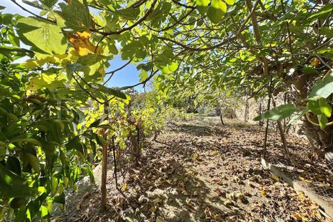 Villa a Vallecrosia, Imperia, Vallecrosia - € 390.000 | Ref: iv1320 - foto 9