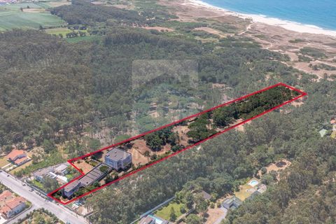 Erhvervsejendom i Vila do Conde, Porto, Vila do Conde - € 2.650.000 | Ref: MI_GER_413 - foto 2