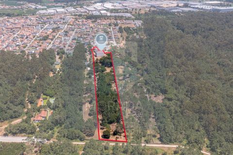 Erhvervsejendom i Vila do Conde, Porto, Vila do Conde - € 2.650.000 | Ref: MI_GER_413 - foto 7