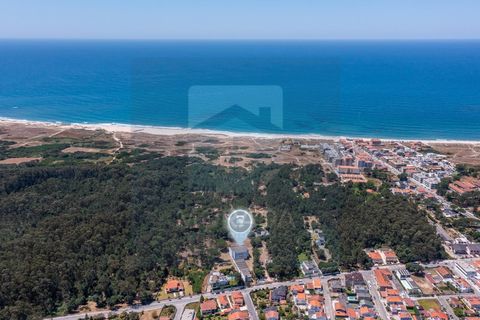 Erhvervsejendom i Vila do Conde, Porto, Vila do Conde - € 2.650.000 | Ref: MI_GER_413 - foto 5