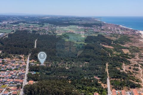 Erhvervsejendom i Vila do Conde, Porto, Vila do Conde - € 2.650.000 | Ref: MI_GER_413 - foto 8