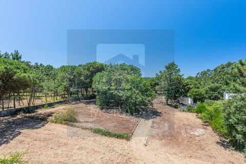 Erhvervsejendom i Vila do Conde, Porto, Vila do Conde - € 2.650.000 | Ref: MI_GER_413 - foto 16