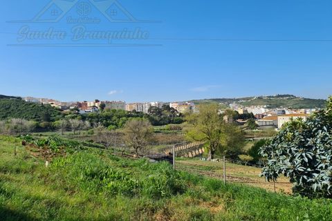 Helårsgrund i Matacaes, Lisbon, Matacaes - € 349.000 | Ref: TER_77 - foto 3