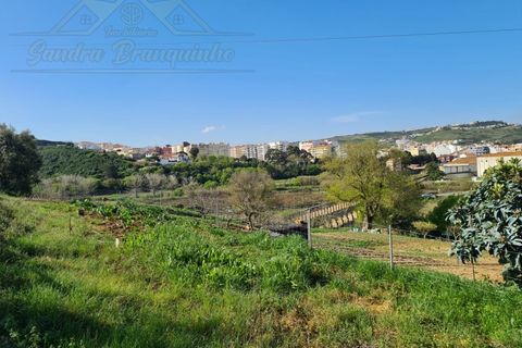 Helårsgrund i Matacaes, Lisbon, Matacaes - € 349.000 | Ref: TER_77 - foto 4