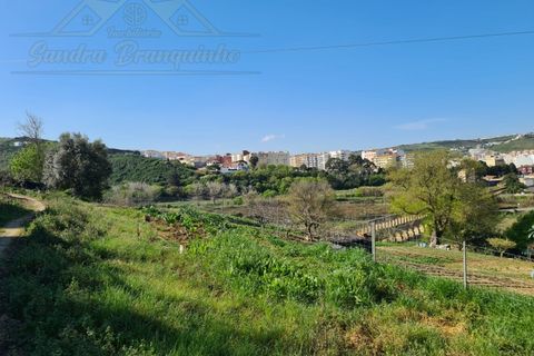 Helårsgrund i Matacaes, Lisbon, Matacaes - € 349.000 | Ref: TER_77 - foto 7