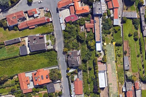 Helårsgrund i Cortegaca, Aveiro, Cortegaca - € 65.000 | Ref: TER_637 - foto 2