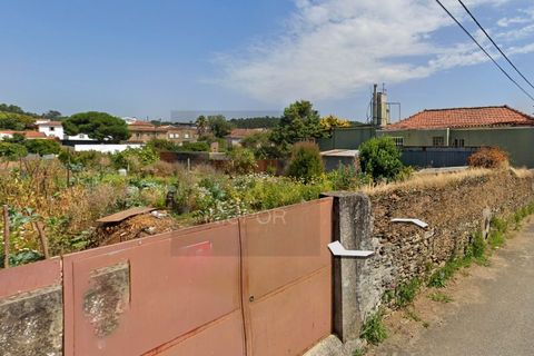 Helårsgrund i Cortegaca, Aveiro, Cortegaca - € 65.000 | Ref: TER_637 - foto 4