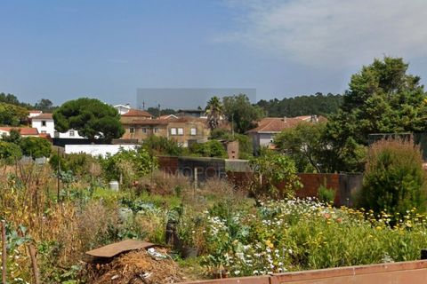 Helårsgrund i Cortegaca, Aveiro, Cortegaca - € 65.000 | Ref: TER_637 - foto 5