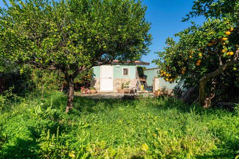 Villa a Lascari, Palermo, Lascari - € 260.000 | Ref: V641 - foto 10