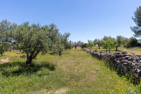 Landejendom i Quesa, Valencia, Quesa - € 145.000 | Ref: ca53f282-bf6a-4664-8 - foto 23