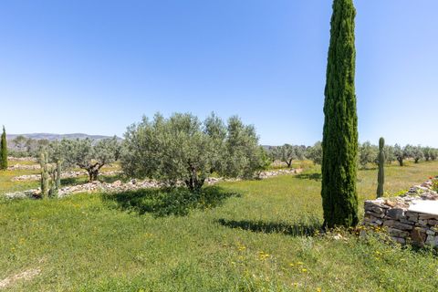 Landejendom i Quesa, Valencia, Quesa - € 145.000 | Ref: ca53f282-bf6a-4664-8 - foto 26