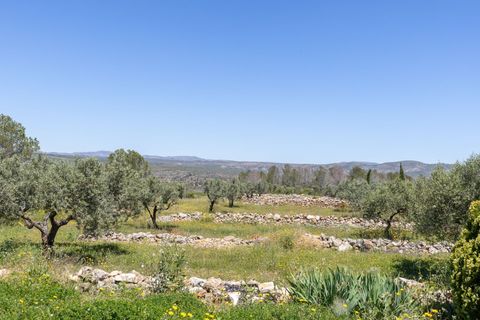 Landejendom i Quesa, Valencia, Quesa - € 145.000 | Ref: ca53f282-bf6a-4664-8 - foto 27