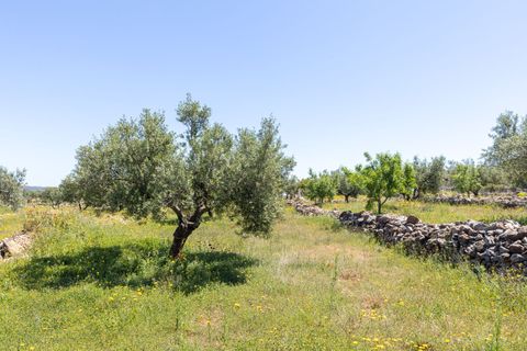 Landejendom i Quesa, Valencia, Quesa - € 145.000 | Ref: ca53f282-bf6a-4664-8 - foto 29