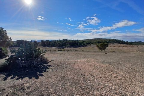 Landejendom i Caudete, Albacete, Caudete - € 199.950 | Ref: AC030 - foto 26