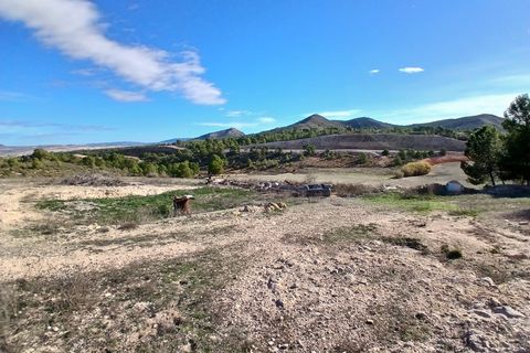 Landejendom i Caudete, Albacete, Caudete - € 199.950 | Ref: AC030 - foto 28