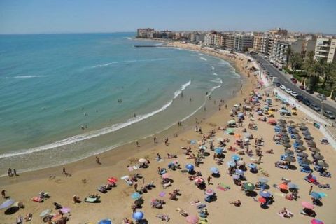 Leilighet i Torrevieja, Alicante, Torrevieja - € 319 000 | Ref: CLDZ-34012 - foto 17