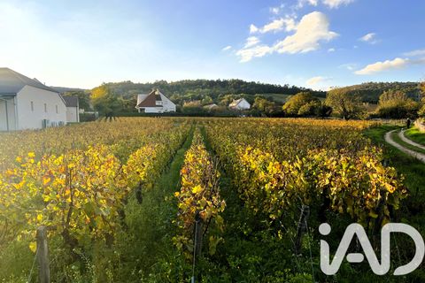 Landsbyhus i Couchey, Cote-d'Or, Couchey - € 398.000 | Ref: 88291 - foto 14