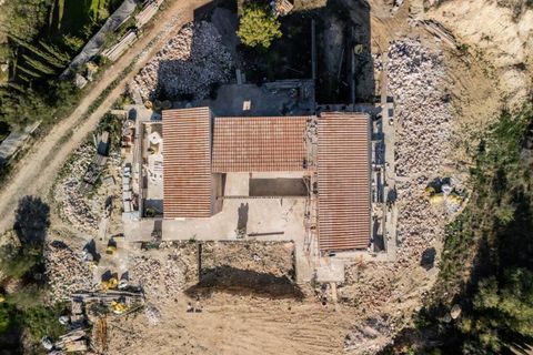 Finca i Son Servera, Mallorca, Son Servera - € 3.100.000 | Ref: FALC-HeMa-77376 - foto 16
