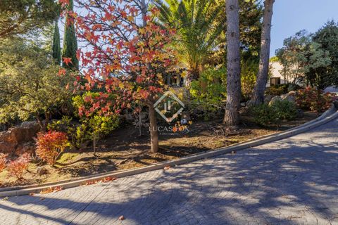 Villa - Torrelodones, Madrid, Torrelodones - € 1 690 000 | Réf : POZ64472 - photo 6